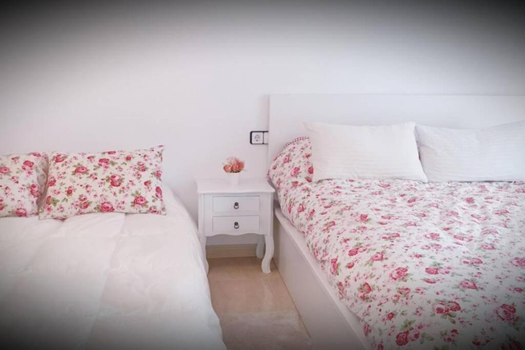 Apartamento Pepa. En El Corazon Del Delta. Sant Jaume d'Enveja Exteriör bild